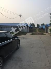 邯郸临漳县86亩畜牧养殖用地经营权出租