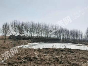 铁岭开原市 16亩 综合养殖用地 经营权出租