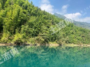 雅安芦山县 4900亩 有林地 经营权转让