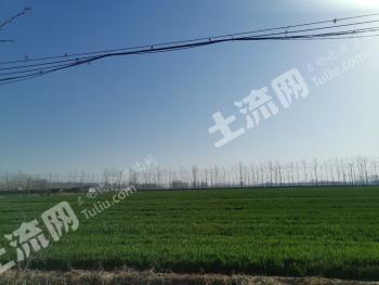 连云港东海县30亩旱地经营权转包