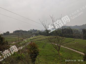 雅安天全县280亩旱地经营权出租