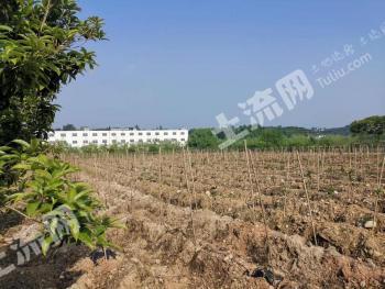 宜昌宜都市10亩工矿仓储-工业用地使用权转让