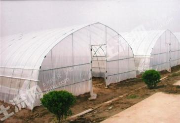 泰州泰兴市10亩菜园经营权转让