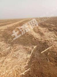 锦州黑山县 13亩 旱地 经营权转让