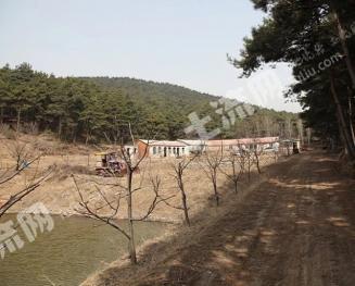 沈阳浑南区 20亩 荒地 使用权转让