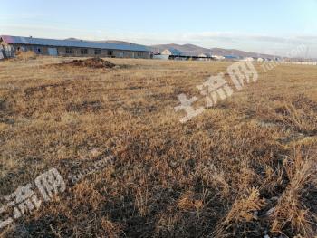 呼伦贝尔额尔古纳市20亩畜牧养殖用地经营权转让