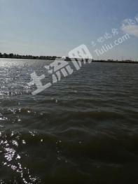 白城镇赉县 600亩 坑塘 经营权转让