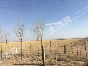 鄂尔多斯鄂托克旗300亩水浇地经营权出租