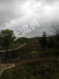 黔南瓮安县29.2亩旱地经营权合作