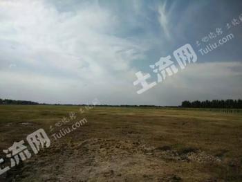 大庆肇州县 300亩 农场 经营权转让