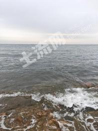 唐山迁安市 4平米 农家庭院 经营权出租