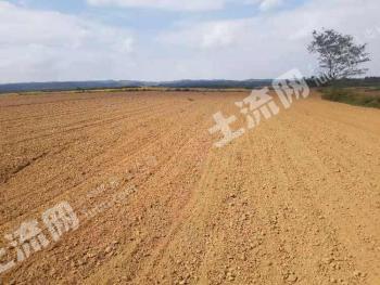 咸阳永寿县 100亩 水浇地 经营权出租