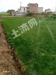 黔南长顺县 380亩 其它耕地 经营权转让