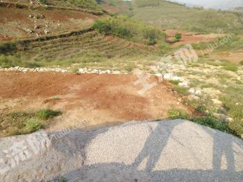 红河开远市 80亩 旱地 经营权出租