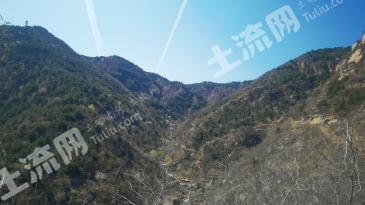 石家庄灵寿县 7000亩 有林地 经营权转让