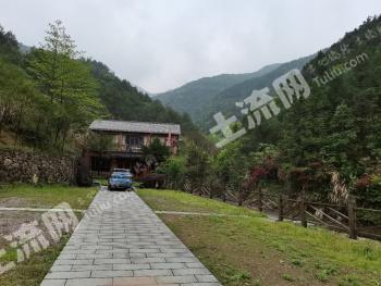 杭州桐庐县300亩灌木林地经营权转让