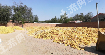 德州夏津县 2000平米 农家庭院 出租