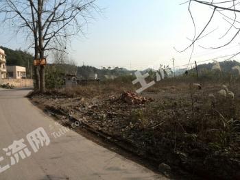 株洲石峰区 2亩 其它耕地 经营权出租