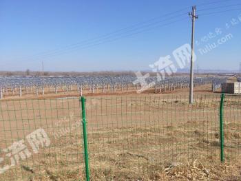 阜新阜新蒙古族自治县7500亩其它耕地经营权出租