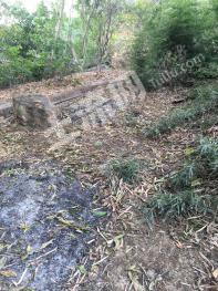 保山隆阳区 80亩 其它林地 经营权合作