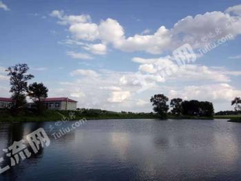 铁岭昌图县 170亩 坑塘水面 经营权转让