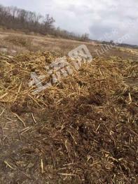 吉林昌邑区66亩农场经营权转让