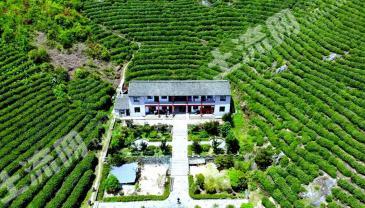 台州临海市 3000亩 其它林地 经营权转让