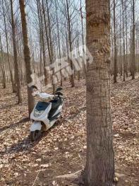 呼伦贝尔扎兰屯市 90亩 其它林地 经营权转让