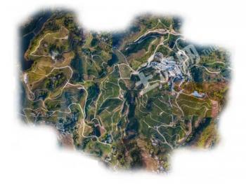 达州大竹县1000亩果园经营权转让