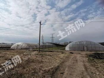 黑龙江齐齐哈尔 600亩 水浇地 经营权出租