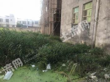 汕头潮南区 93平米 宅基地 使用权出租