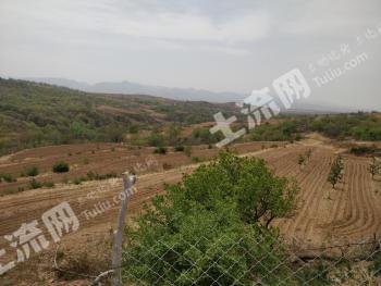 朝阳龙城区315亩有林地经营权转让
