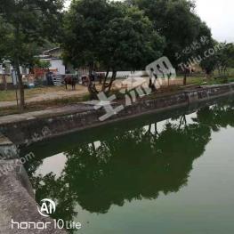 韶关翁源县200亩有林地经营权转让