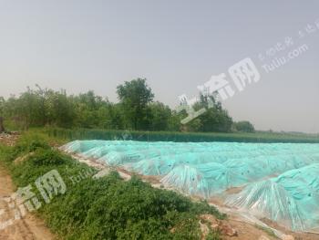 潍坊安丘市 10亩 综合养殖用地 经营权转让