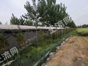 枣庄峄城区 20亩 畜牧养殖用地 经营权出租