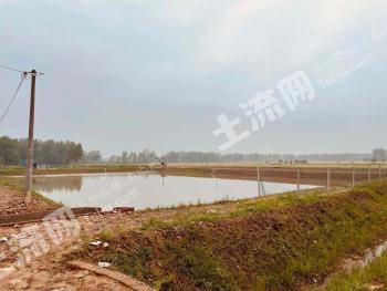 信阳罗山县 30亩 水产养殖用地 经营权转让