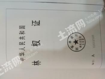 陇南徽县700亩灌木林地经营权转让