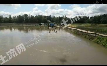南充营山县 45亩 坑塘水面 经营权转让