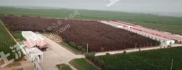 辽宁沈阳 80亩 畜牧养殖用地 经营权转让