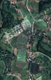 遂宁船山区 110亩 坑塘水面 经营权转包