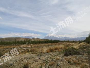 乌鲁木齐达坂城区400亩其它林地经营权出租