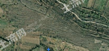 天津蓟州区 50亩 其它林地 经营权转让