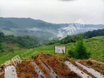 遵义习水县150亩旱地经营权合作