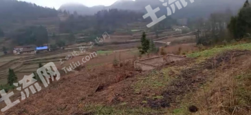遵义余庆县 1000亩 旱地 出租