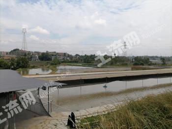 德阳罗江区 45亩 坑塘 经营权转让