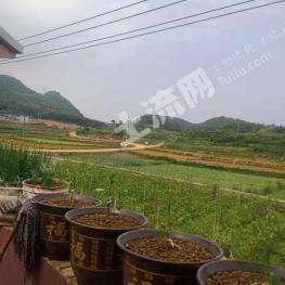 黔南惠水县 500亩 荒山 经营权出租