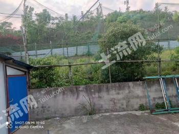 南宁江南区 100亩 灌木林地 经营权转让