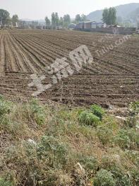 朝阳朝阳县 22644平米 商业用地 使用权转让