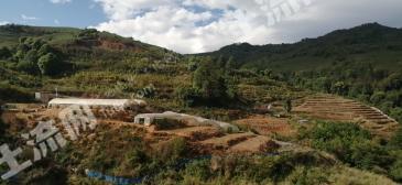 玉溪元江哈尼族彝族傣族自治县 100亩 农场 经营权转让