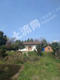 宜昌当阳市 115亩 乔木林地 经营权转让